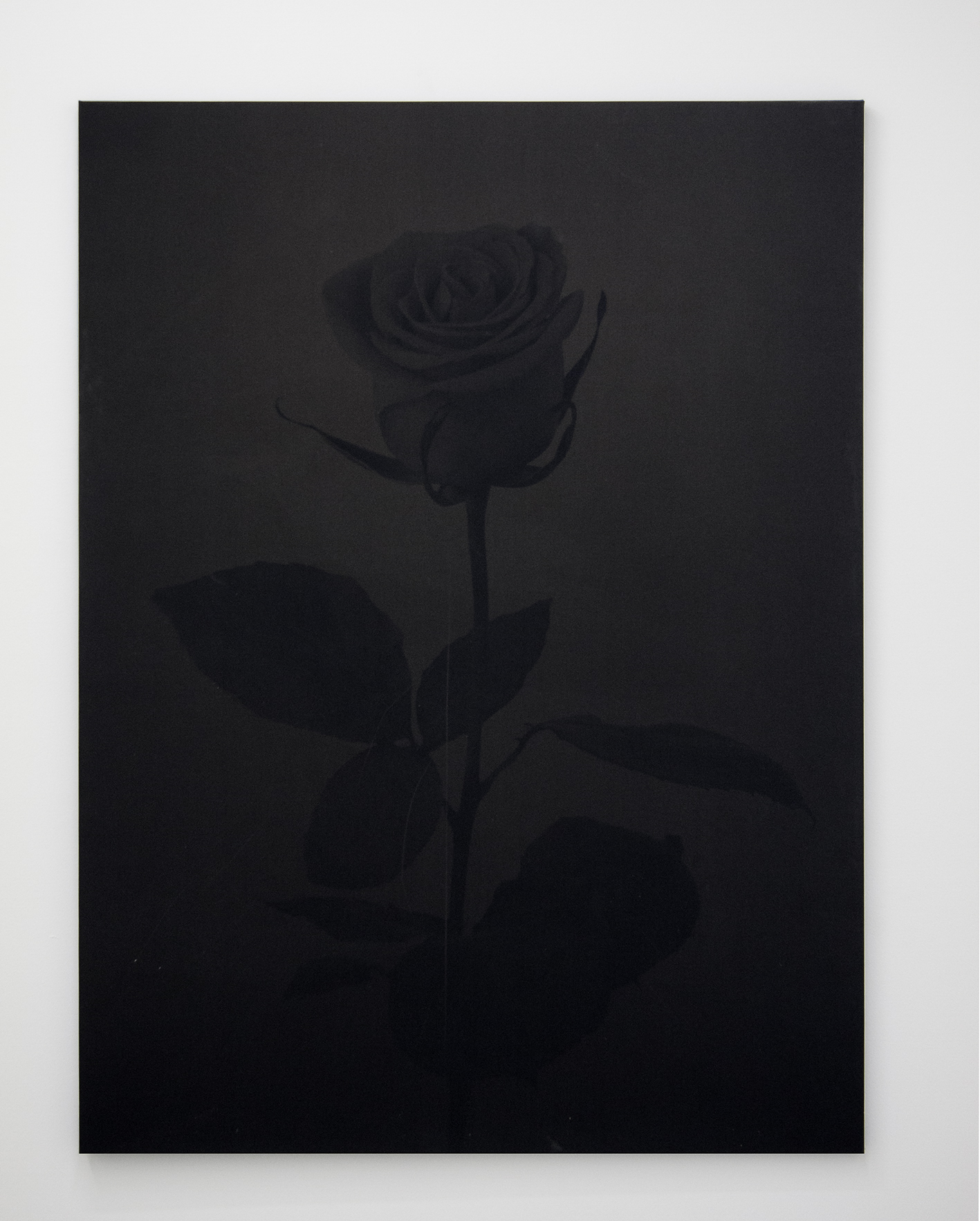 GH_Untitled(rose)_black