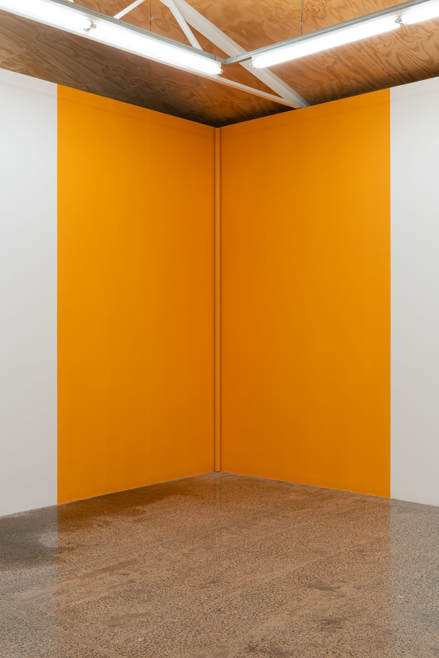 Oliver Perkins, Corner Painting #6 (Buttercup), 2024